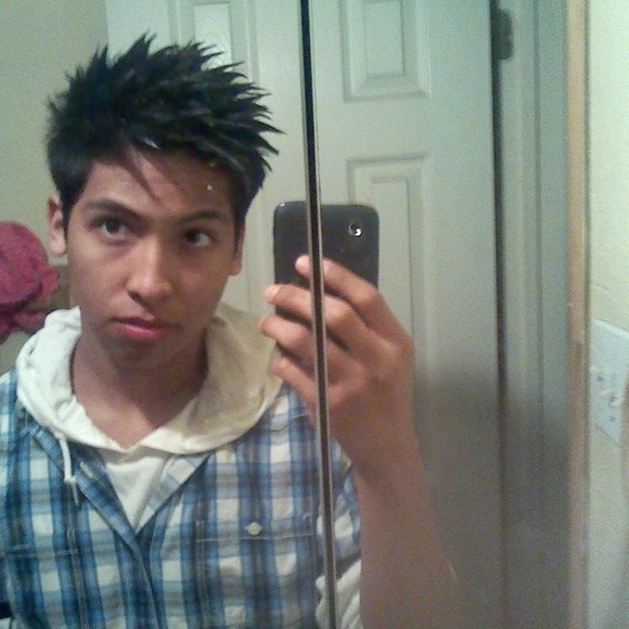 Meet your Posher, Leo - Picture 1 of 1